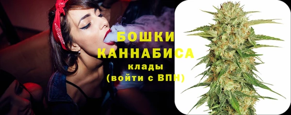 СК Бородино