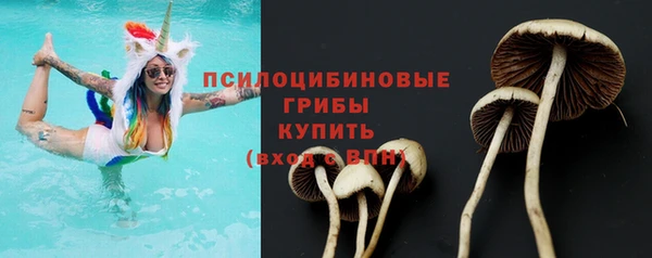 СК Бородино