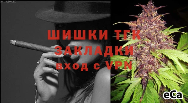 СК Бородино