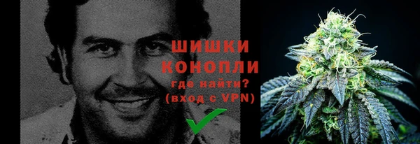 СК Бородино