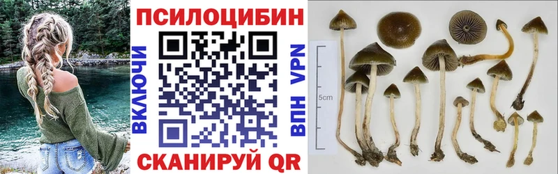 цены   shop как зайти  Галлюциногенные грибы ЛСД  Любим 